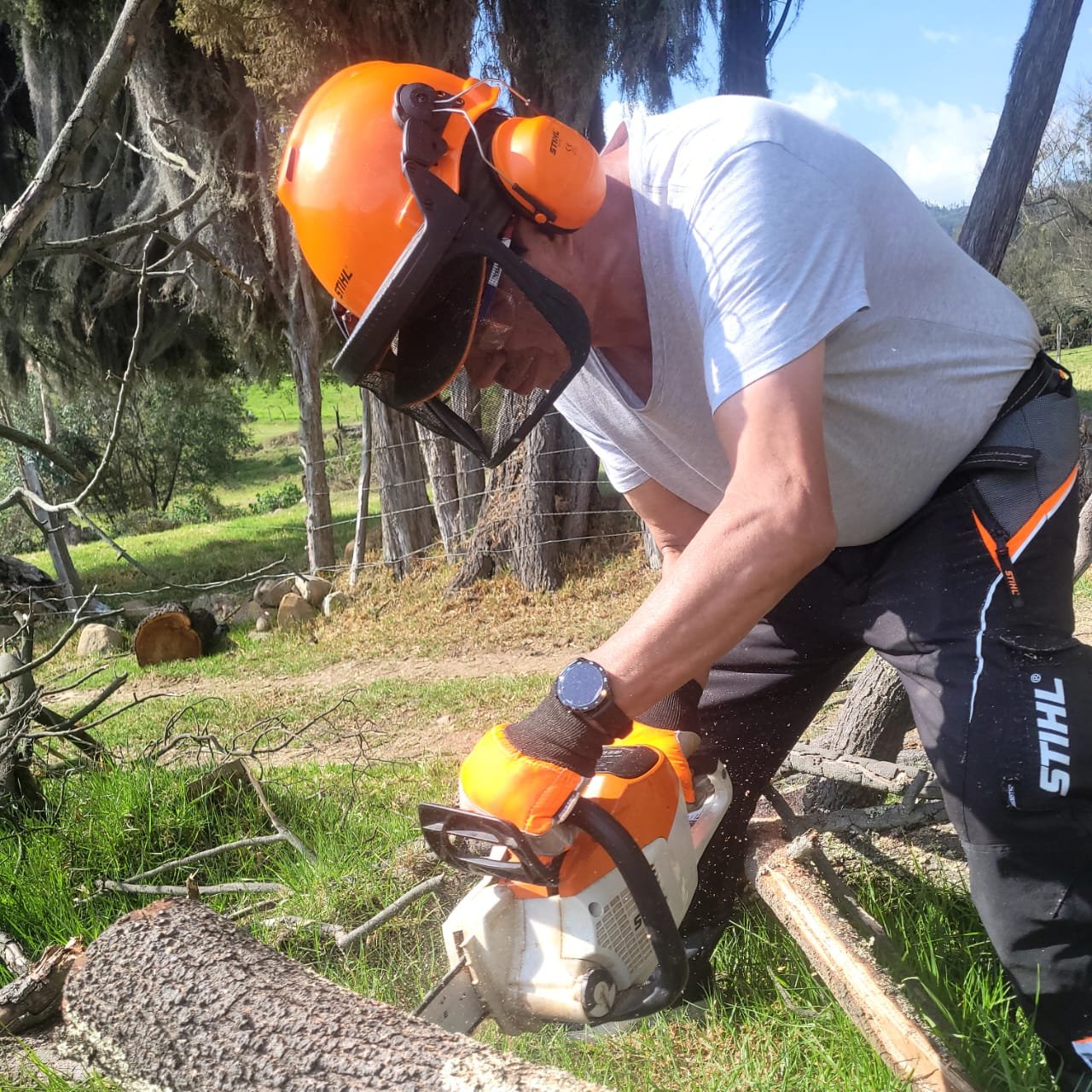 Cómo elegir la motosierra adecuada